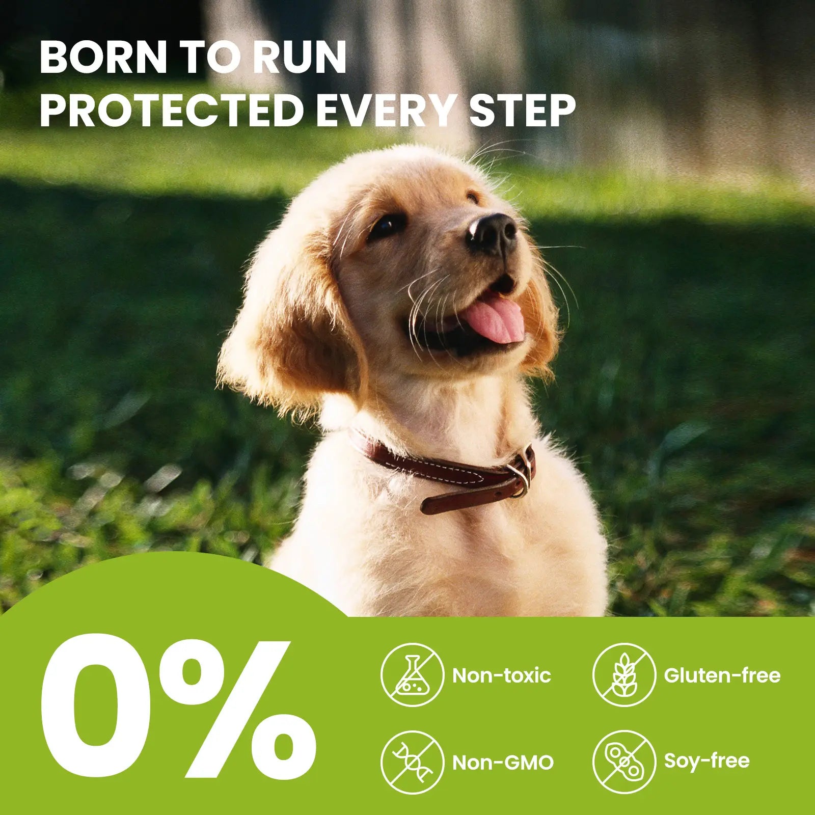 Pawsono pote-balsam til hunde og katte – naturlige ingredienser, sikker at slikke, plejende balsam til hundepoter.