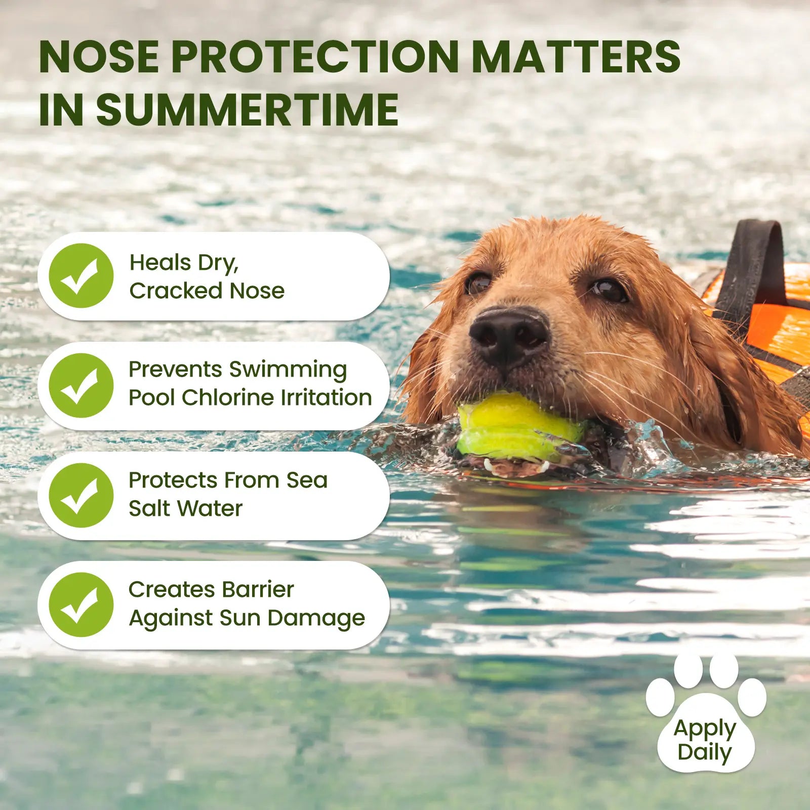 Pawsono pote-balsam til hunde og katte – naturlige ingredienser, sikker at slikke, plejende balsam til hundepoter.